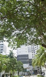 Blk 773 Pasir Ris Street 71 (Pasir Ris), HDB 5 Rooms #438282001